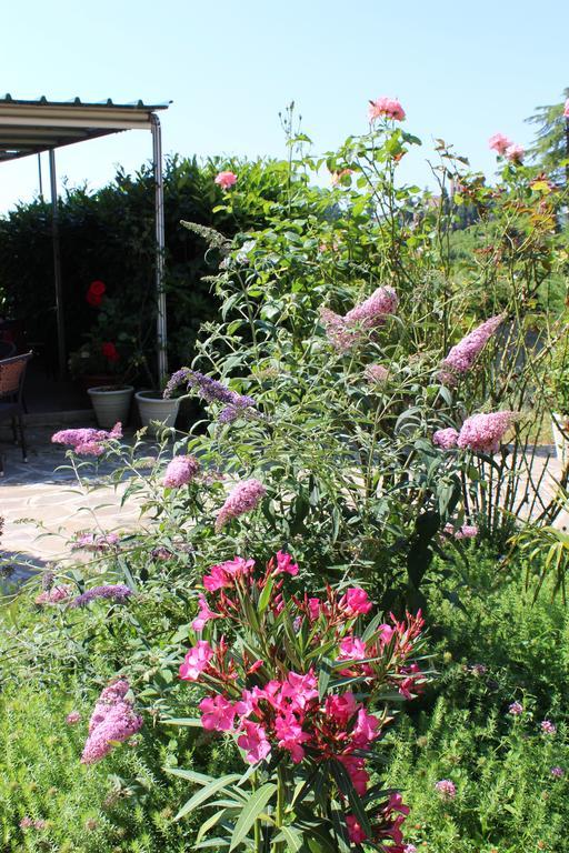 Albergo La Pieve Castelfiorentino Luaran gambar