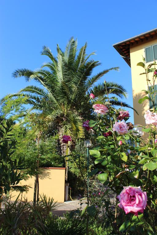 Albergo La Pieve Castelfiorentino Luaran gambar