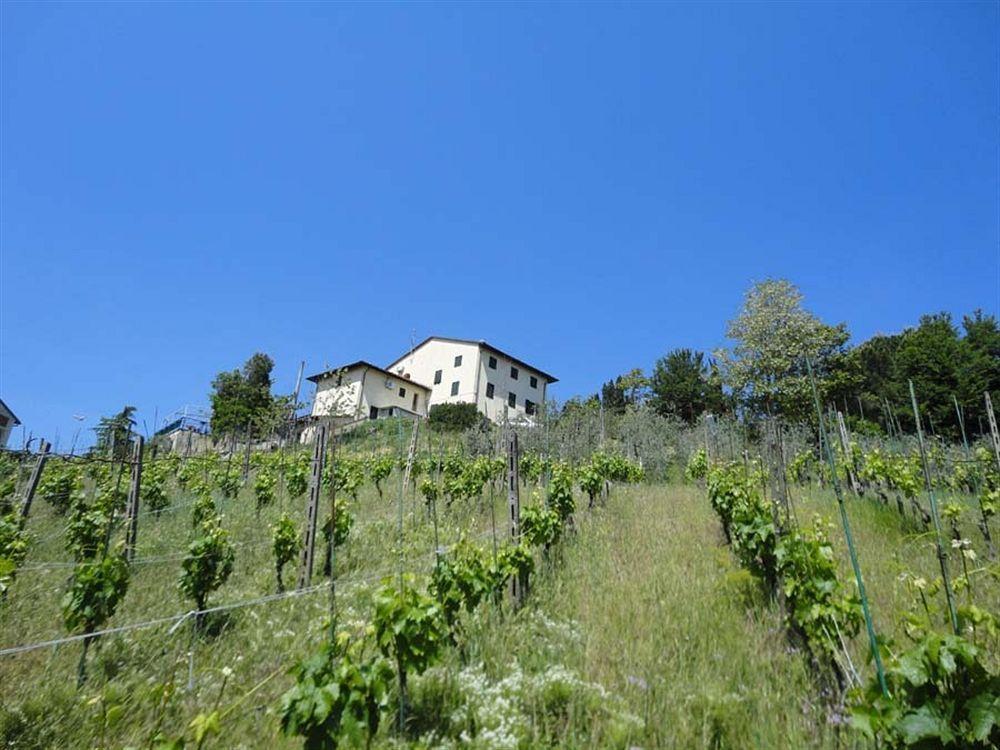 Albergo La Pieve Castelfiorentino Luaran gambar