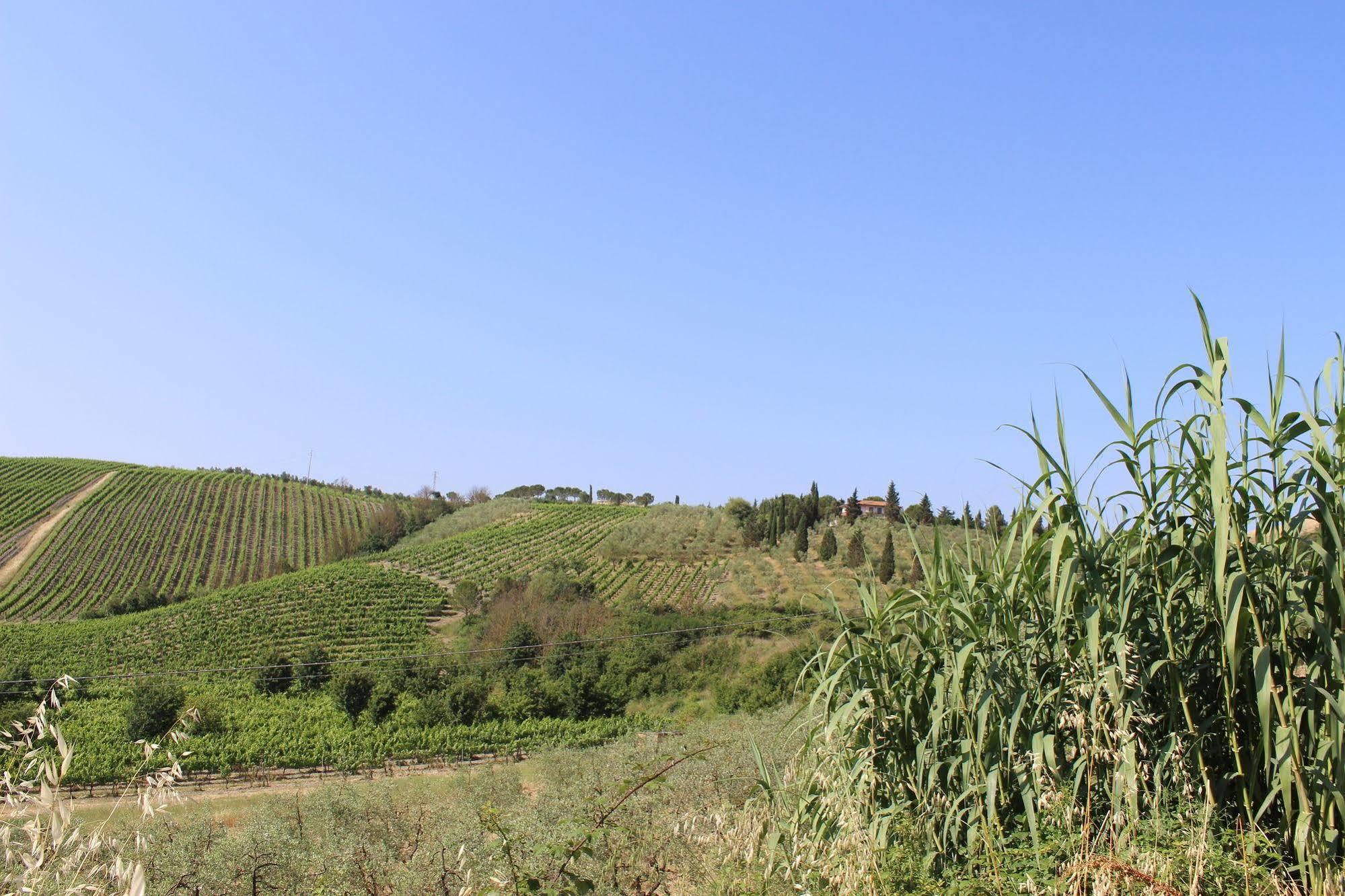 Albergo La Pieve Castelfiorentino Luaran gambar