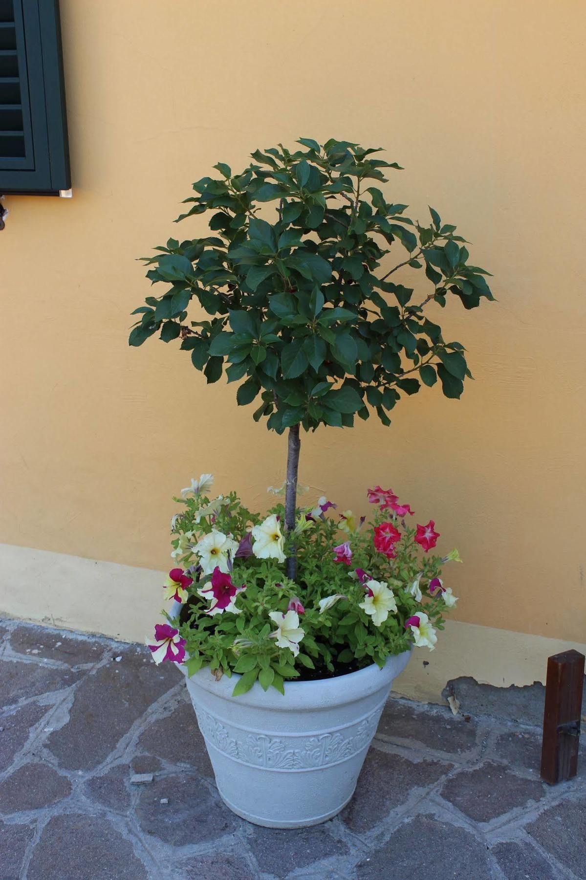 Albergo La Pieve Castelfiorentino Luaran gambar