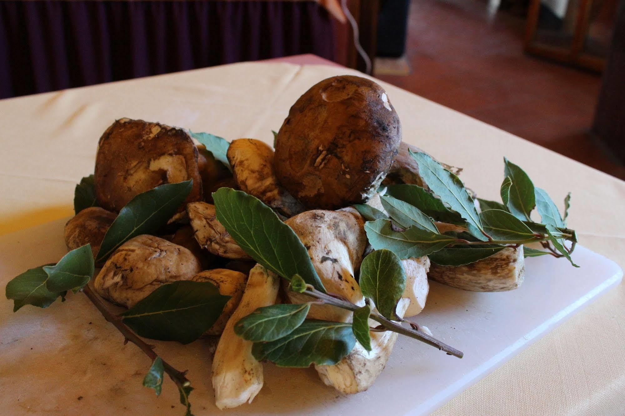 Albergo La Pieve Castelfiorentino Luaran gambar